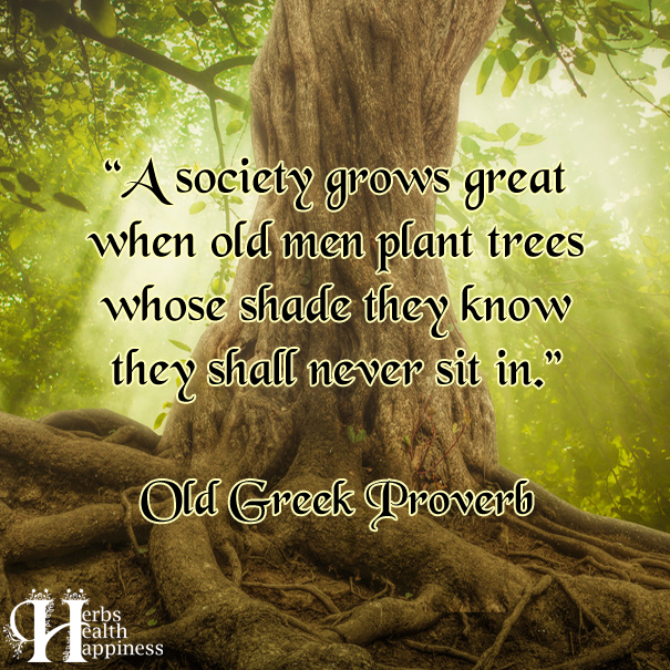 A Society Grows Great When Old Men Plant Trees - ø Eminently Quotable