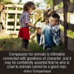 Compassion For Animals Is Intimately Connected With Goodness Of Character