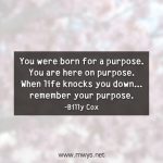 You Were Born For A Purpose