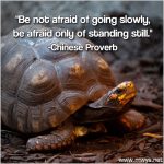 Be Not Afraid of Going Slowly