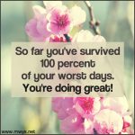 So Far You’ve Survived 100 Percent of Your Worst Days