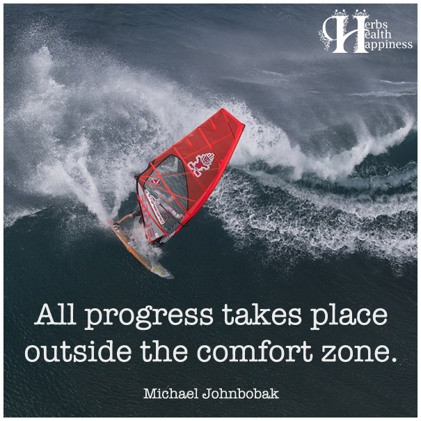 All Progress Takes Place Outside The Comfort Zone - ø Eminently ...