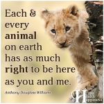 Each And Every Animal On Earth