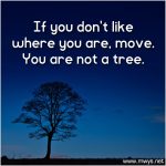 If You Don’t Like Where You Are, Move