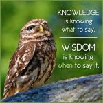 Knowledge Is Knowing What To Say