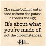 The Same Boiling Water That Softens The Potato Hardens The Egg