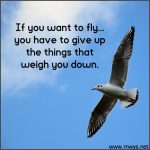 If You Want To Fly
