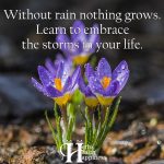 Without Rain Nothing Grows