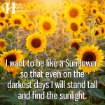 I Want To Be Like A Sunflower