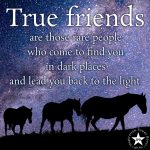 True Friends Are Those Rare People Who Come To Find You In Dark Places